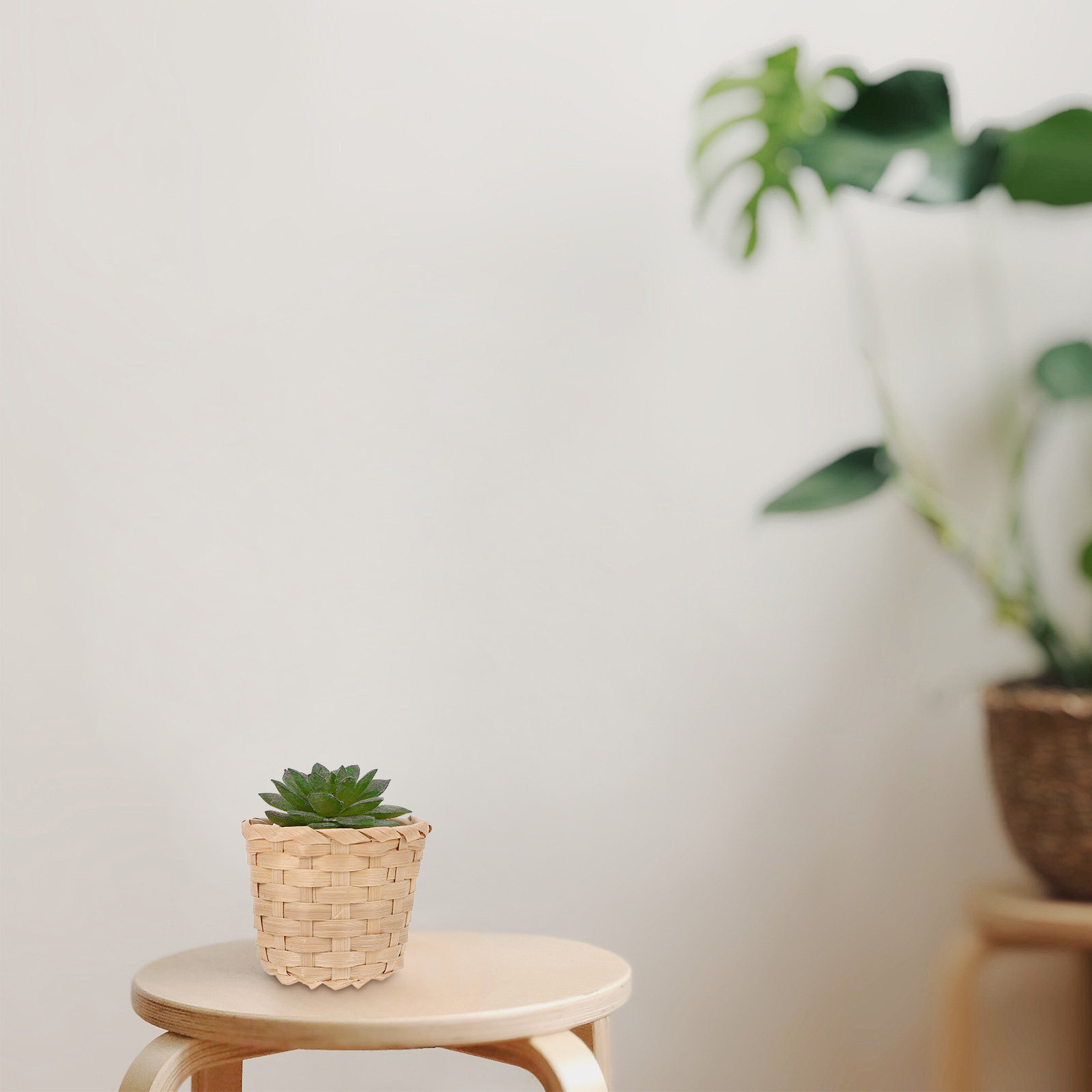 10 adet Premium bambu dokuma s - Sustainable Living Officer incelemesi ve fiyatı